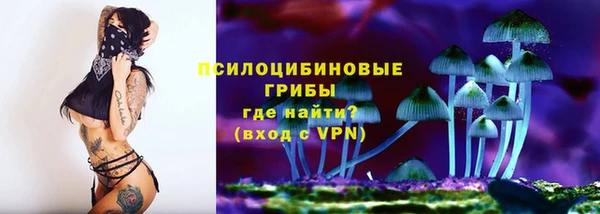 PSILOCYBIN Алексеевка
