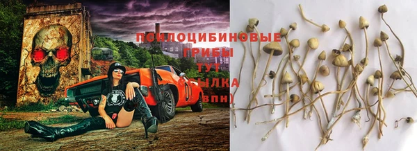 шишки Алексин